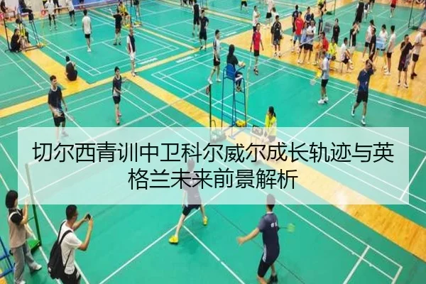 切尔西青训中卫科尔威尔成长轨迹与英格兰未来前景解析
